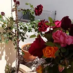 G. Kiapekou 4*